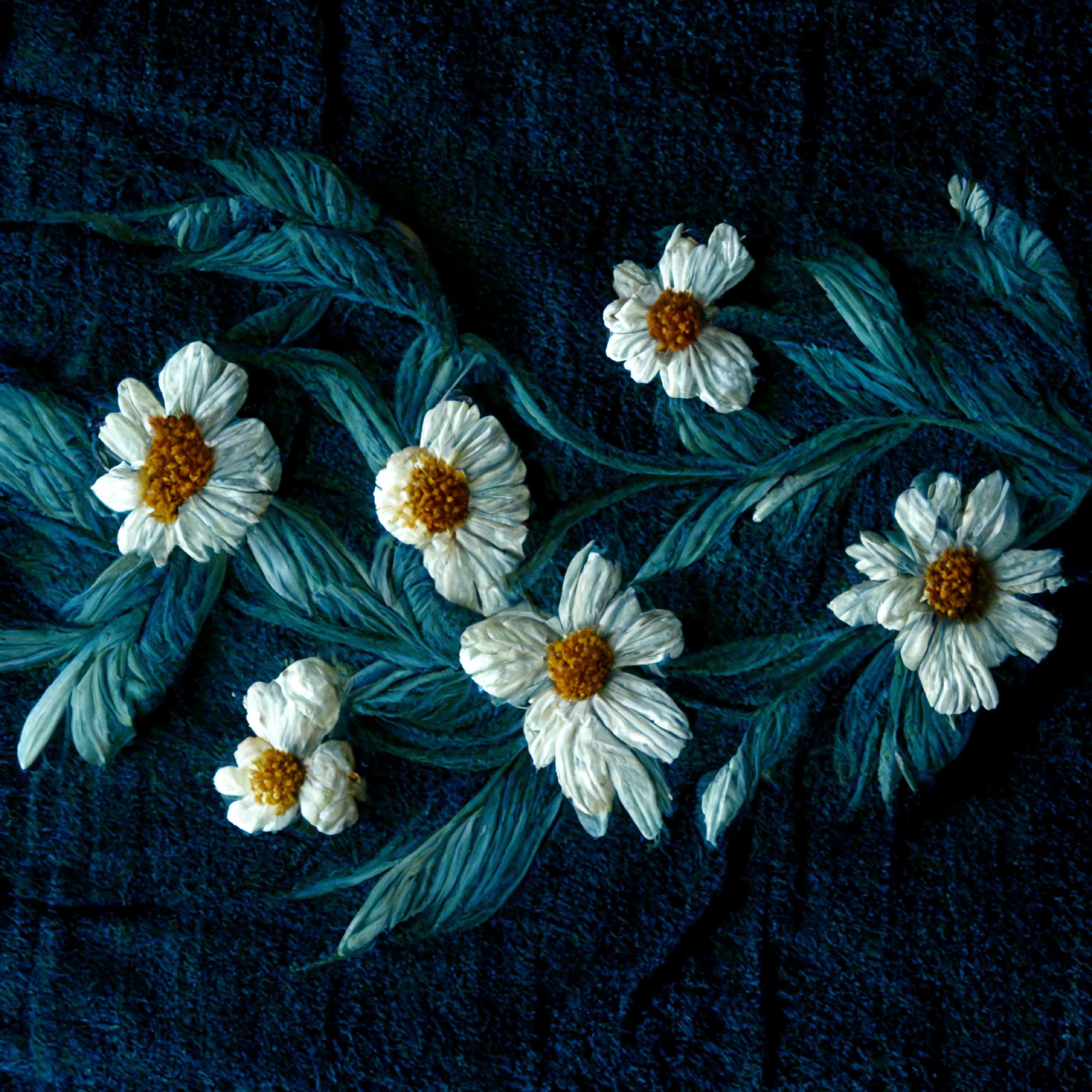 close-up of embroidered floral detail on dark fabric